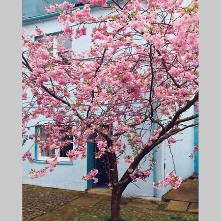Albion Cottage Cockermouth Ngoại thất bức ảnh