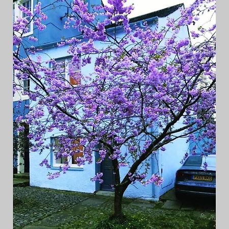 Albion Cottage Cockermouth Ngoại thất bức ảnh