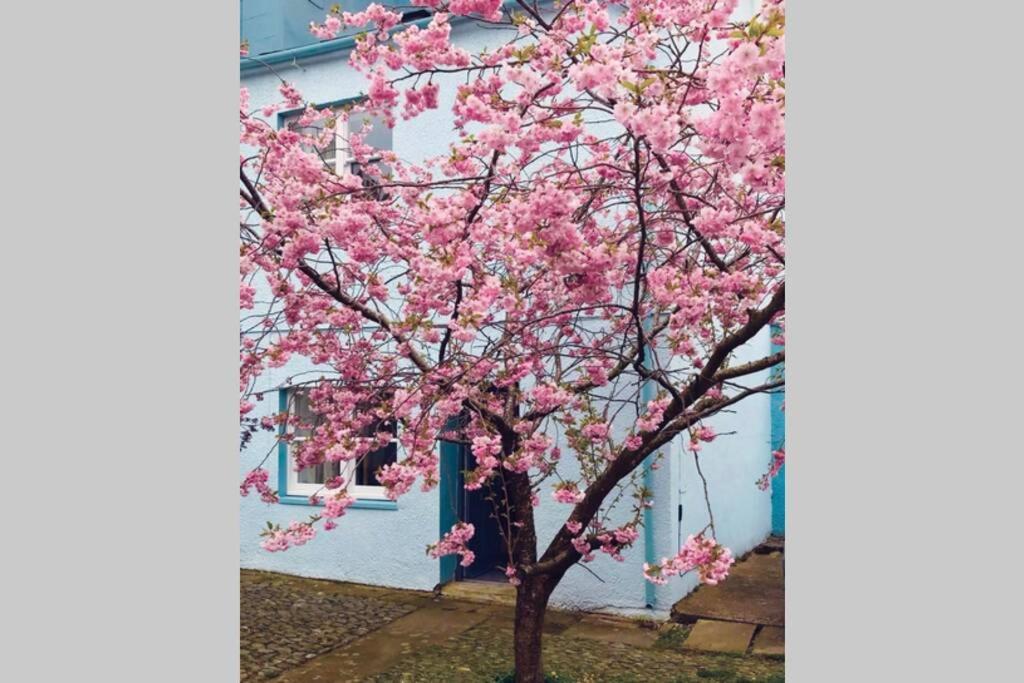 Albion Cottage Cockermouth Ngoại thất bức ảnh
