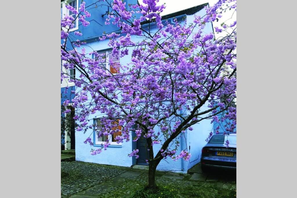 Albion Cottage Cockermouth Ngoại thất bức ảnh